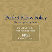 Load image into Gallery viewer, Snuggle Soft 600 Goose Down Decorative Throw Pillow - (18" x 18")